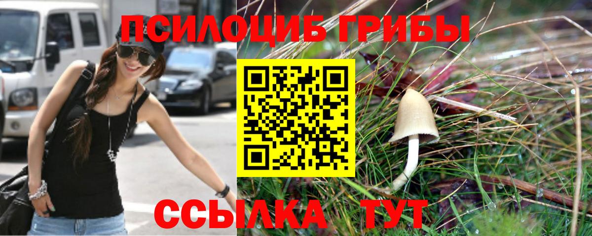 Псилоцибиновые грибы мицелий Камышин