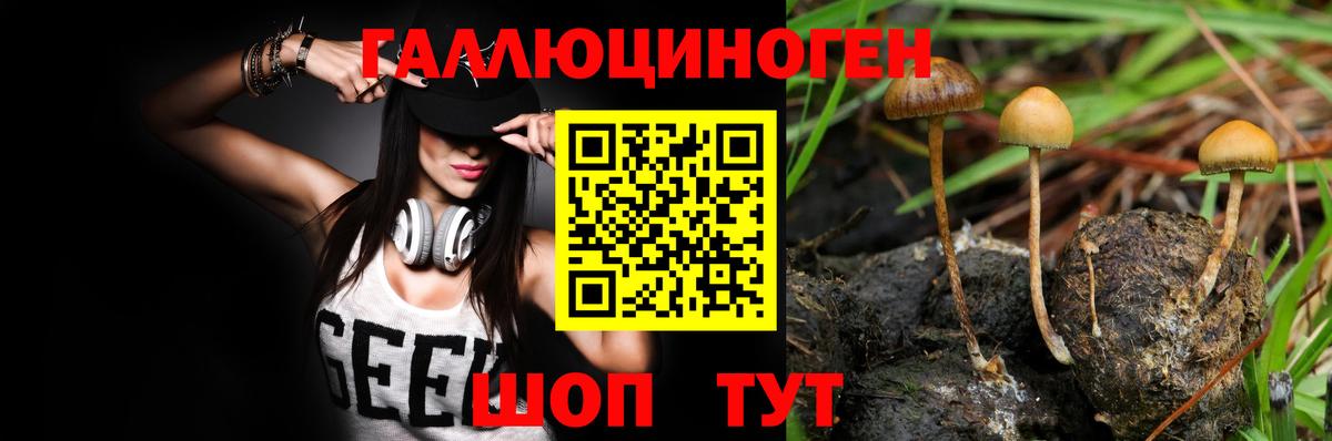 Камышин  Псилоцибиновые грибы мицелий  Вход с VPN  Галлюциногенные грибы прущие грибы 